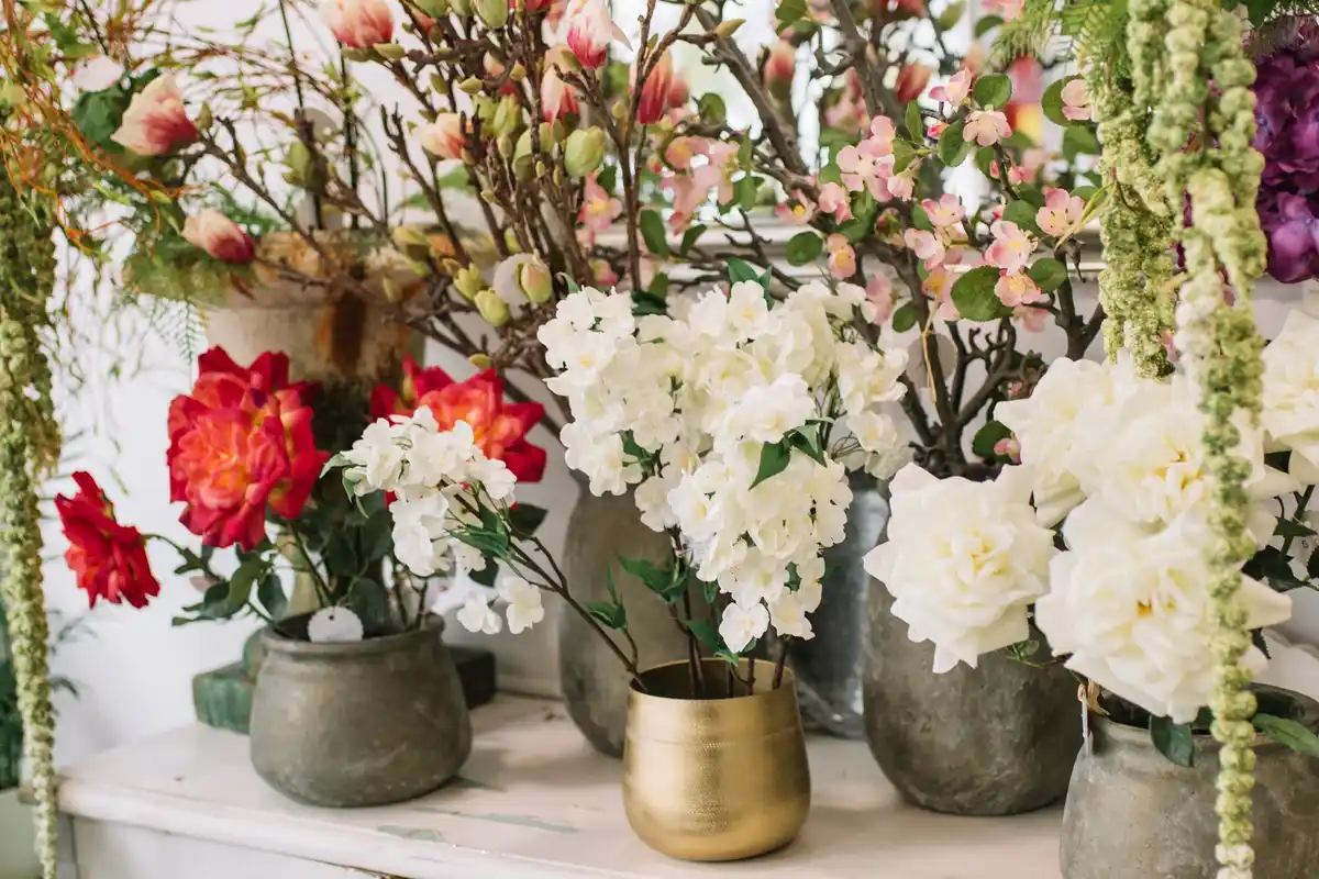 potted flowering plants indoor blooming multiple cycles
