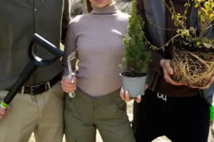 budget gardening tips Sweden