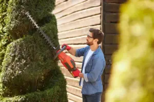 garden trimmer vs brush cutter Sweden backyard tools