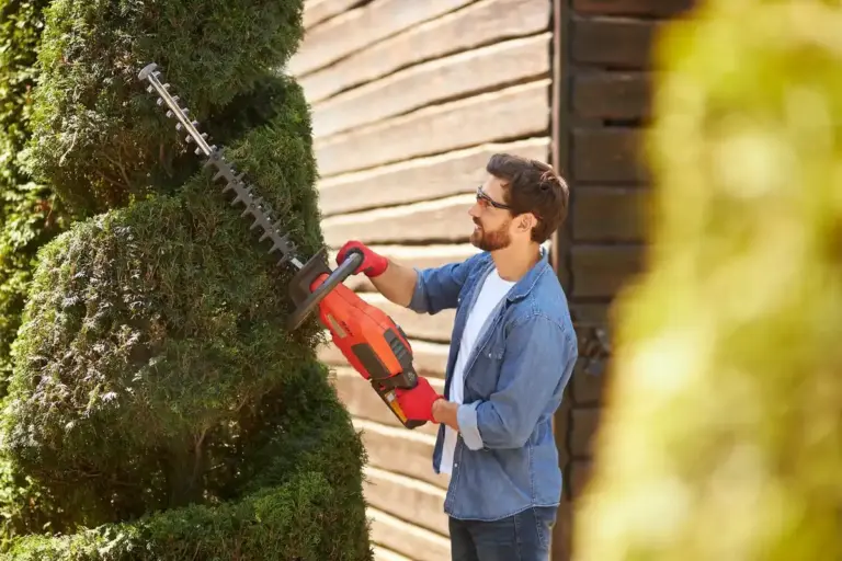garden trimmer vs brush cutter Sweden backyard tools