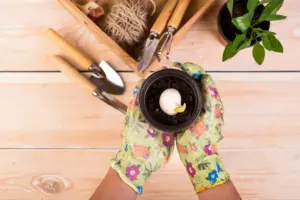garden compost and fertilizer tips