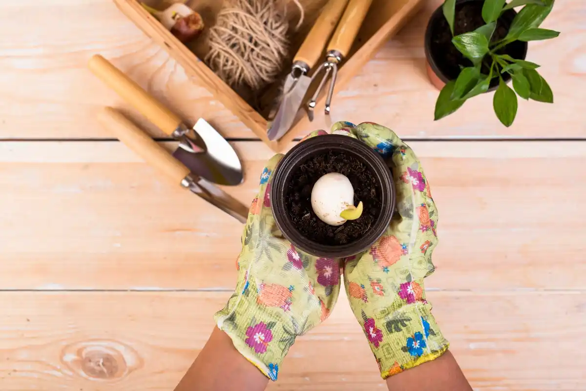 garden compost and fertilizer tips