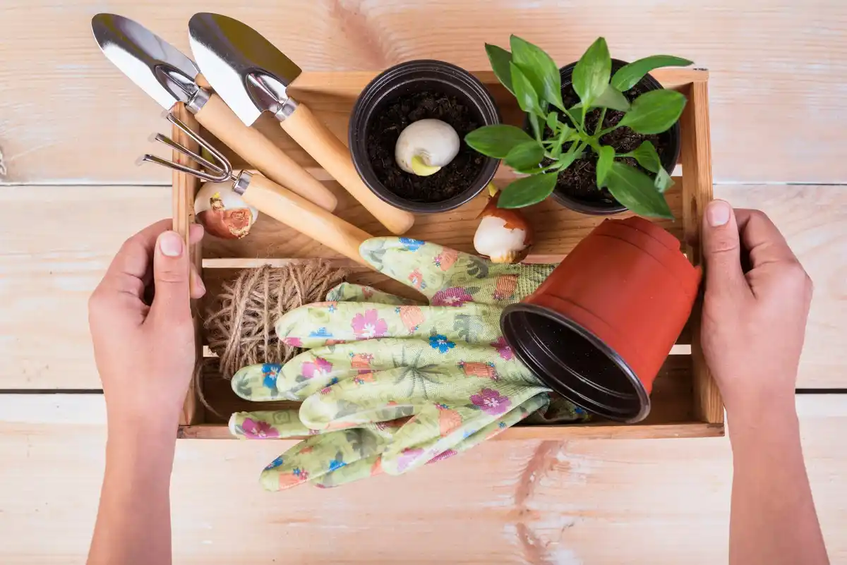 garden tools time saving energy efficient