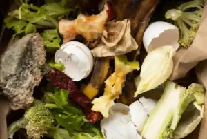 food waste composting tips Sweden kitchen