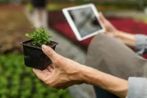 garden fertilizer amount experiment