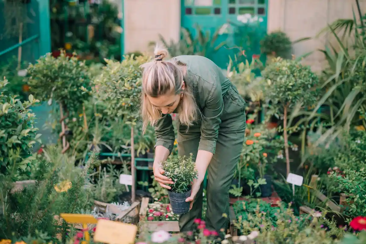 Swedish garden vegetable planting outdoor