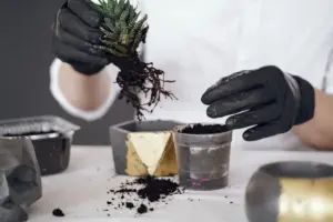 Swedish garden plants soil test