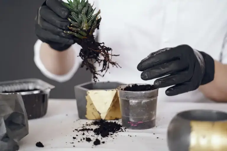 Swedish garden plants soil test