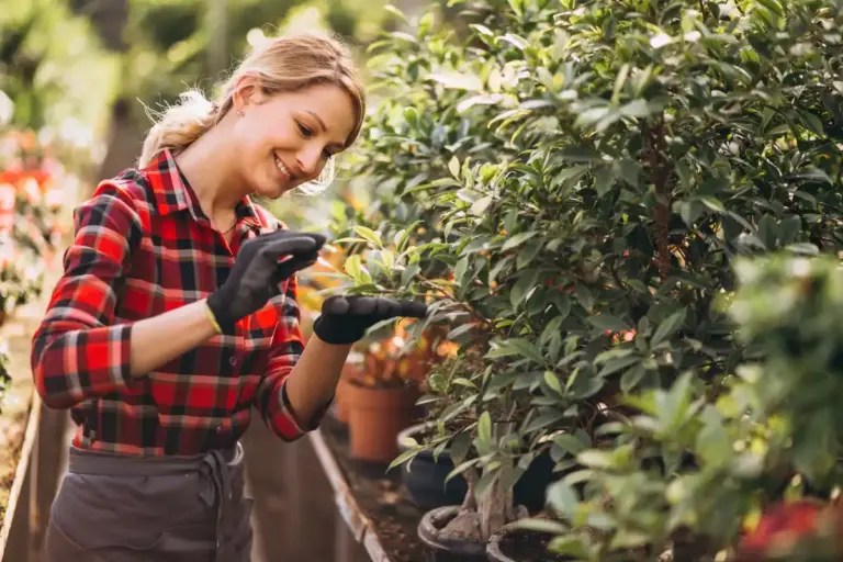 watering fruit and berry plants garden