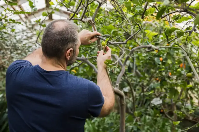 fruit orchard watering mistake
