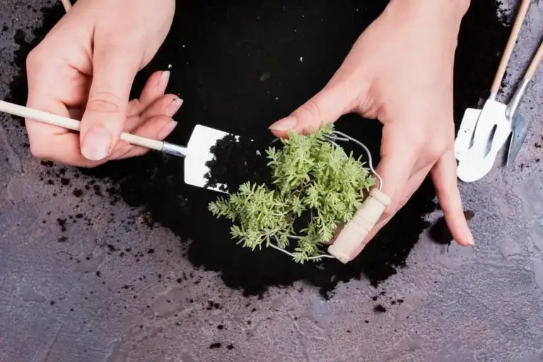 nettle plant fertilizer organic gardening