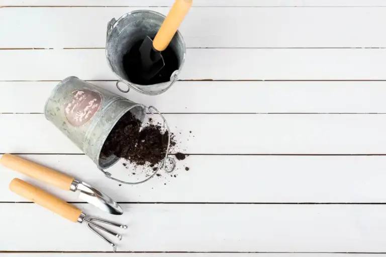 homemade organic garden fertilizer compost