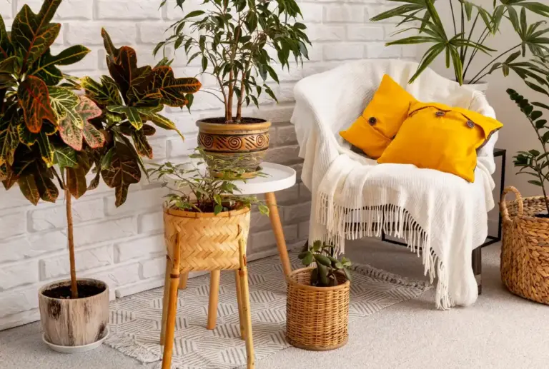 houseplants indoor Swedish apartment cozy