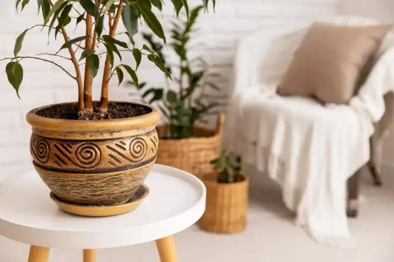 indoor flowering potted plants Swedish home