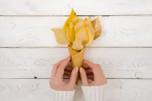 browning yellow leaves houseplants