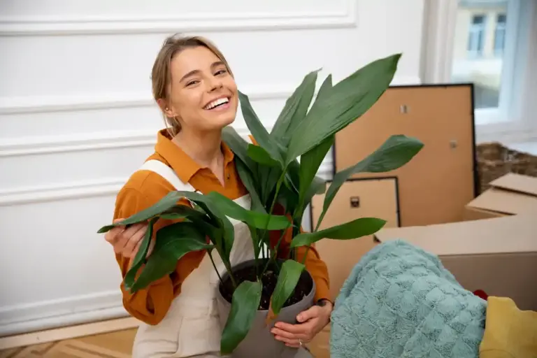 indoor plants budget Scandinavian apartment