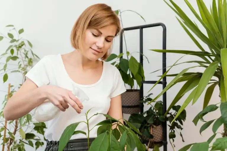 houseplants disease prevention watering light nutrient mistakes