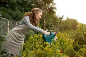 garden fertilizing natural organic tips