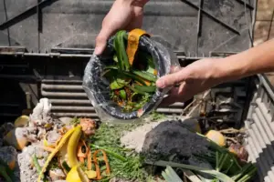 composting garden energy organic