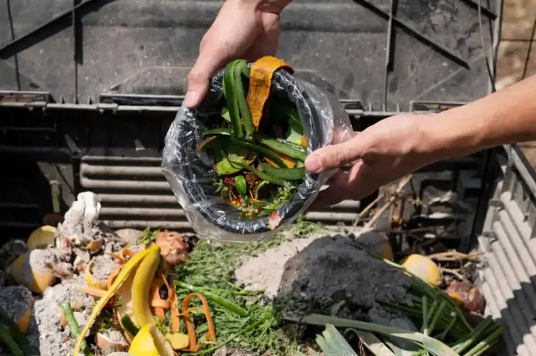 composting garden energy organic