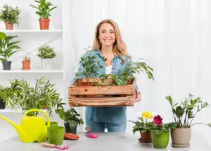 happy indoor house plants care tips
