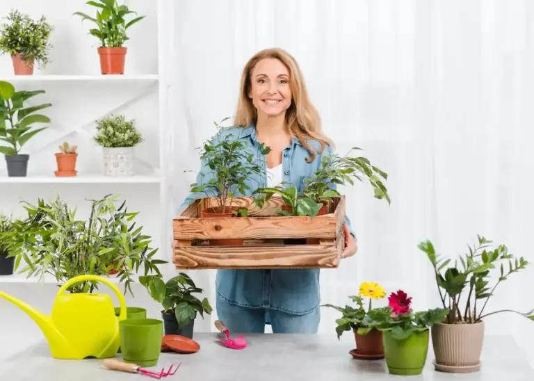 happy indoor house plants care tips