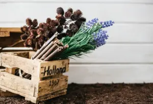 organic compost fertilizer garden Sweden