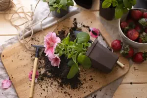 natural gardening soil improvement Sweden garden compost