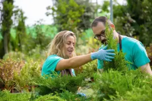 garden design mistakes professional result Sweden