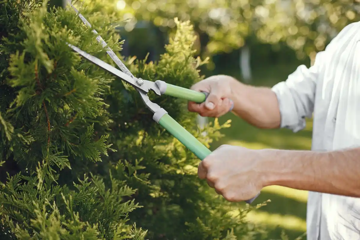 swedish garden landscaping common mistakes