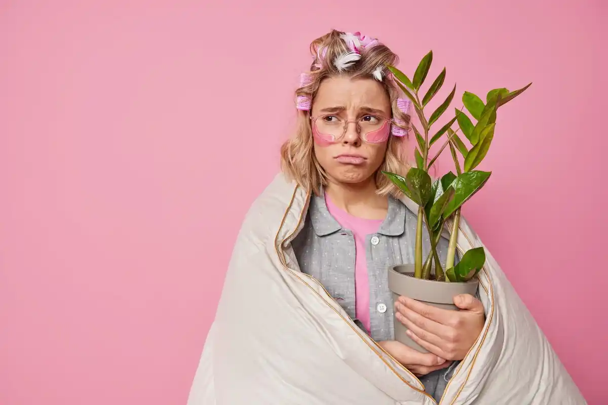 houseplants dying common mistakes