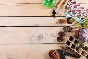 kitchen garden tips Sweden