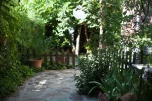 Swedish garden backyard simple lush plants