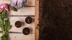 soil structure healthy garden Sweden