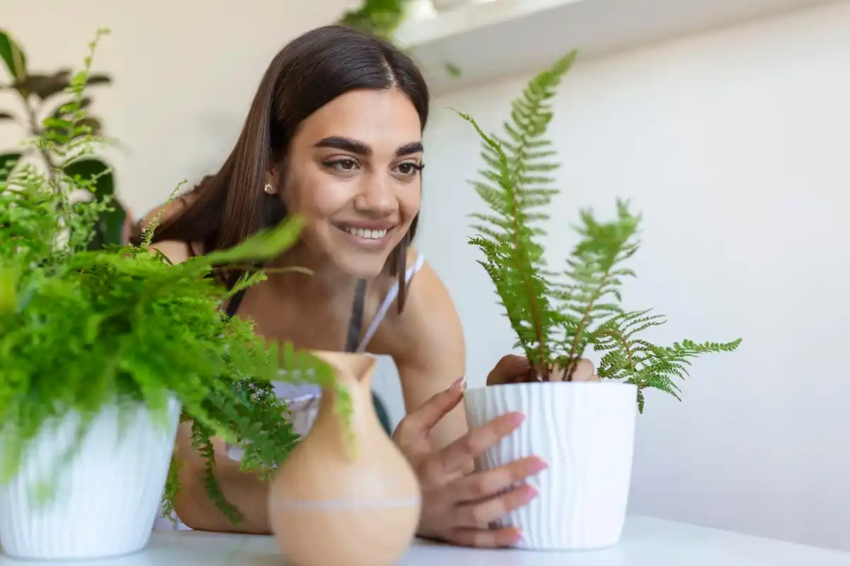 healthy indoor plants care tips Sweden