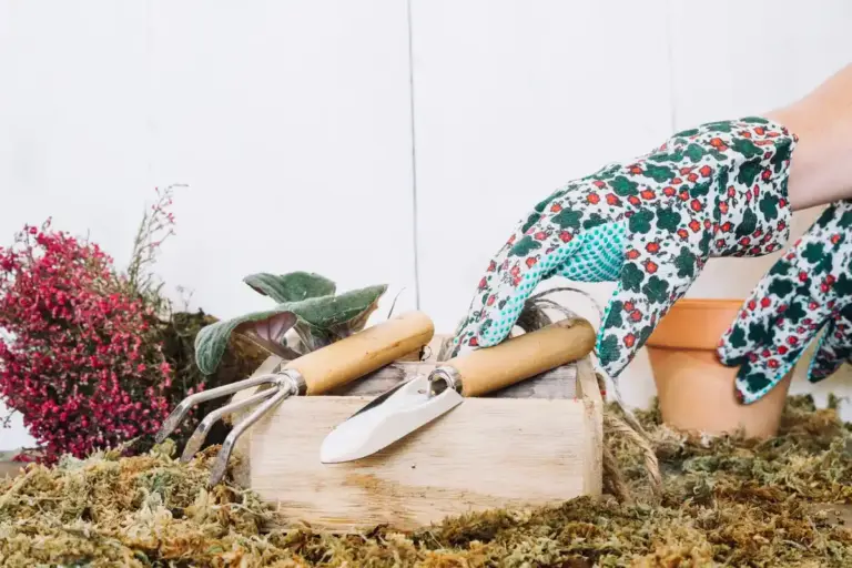 gardening tips garden tools Sweden