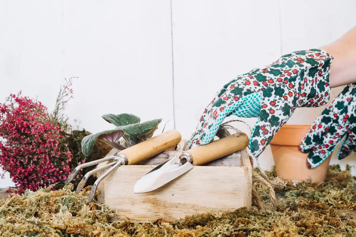 gardening tips garden tools Sweden