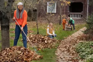 Swedish autumn garden preparation for winter
