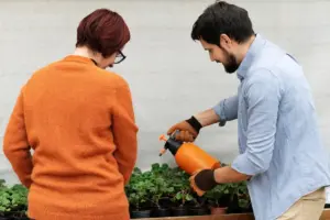 plant pest prevention gardening Sweden