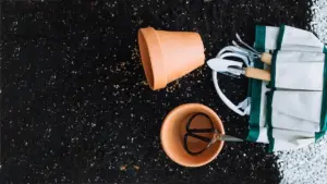 compost for houseplants sweden