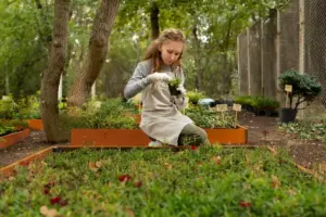 composting beginner garden Sweden