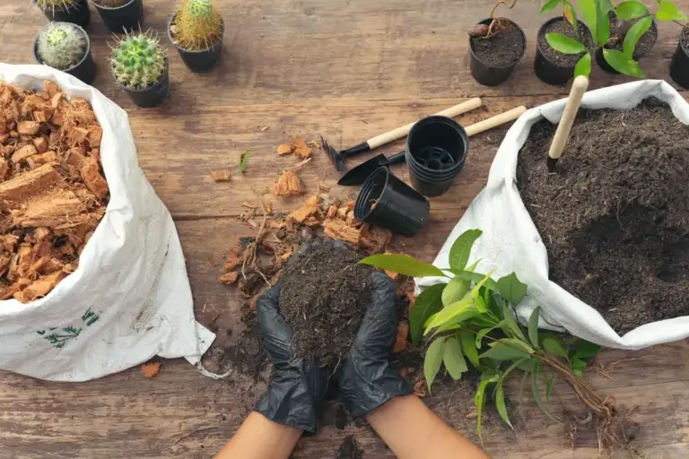composting tips garden lush plants
