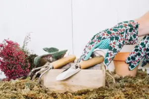 autumn composting garden Sweden