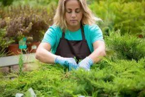 fast growing vegetable garden tips Sweden