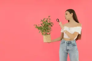 houseplant selection quiz