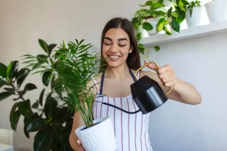 easy care indoor plants low maintenance