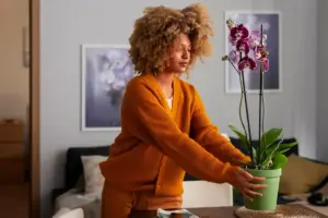 Blooming houseplants care tips