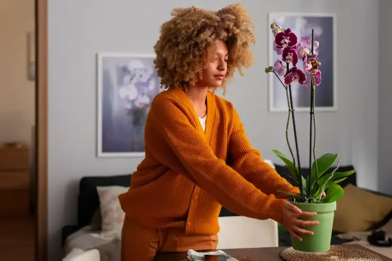Blooming houseplants care tips