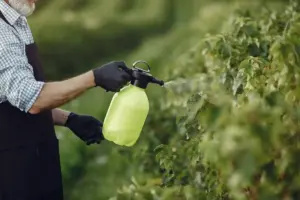 natural pest control home Sweden