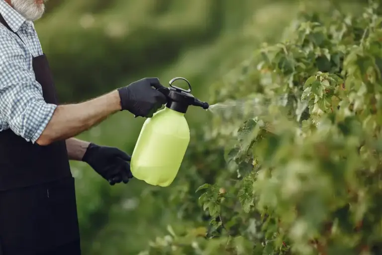 natural pest control home Sweden